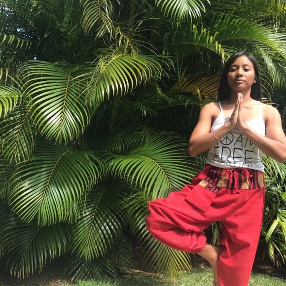 🙌🏾Brand New Teal Thailand Harem Pants #VMCxTTB - Picture 6 of 7